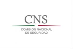 CNS